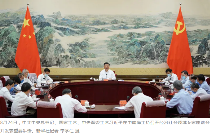习近平主持召开经济社会领域专家座谈会并发表重要讲话