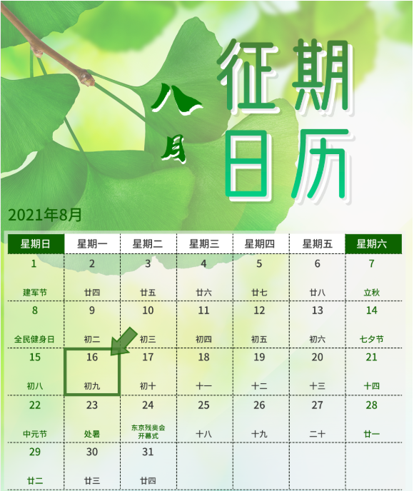 八月征期日历来啦~